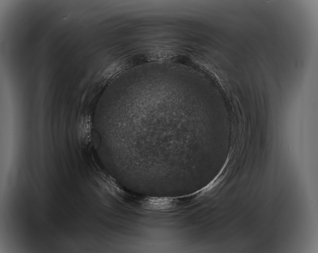 X0000086880144200704161230