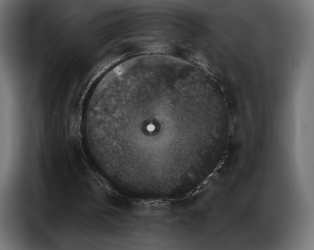 X0000086880146200704161230