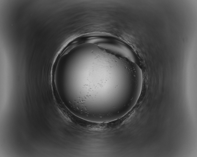 X0000086880148200704161230