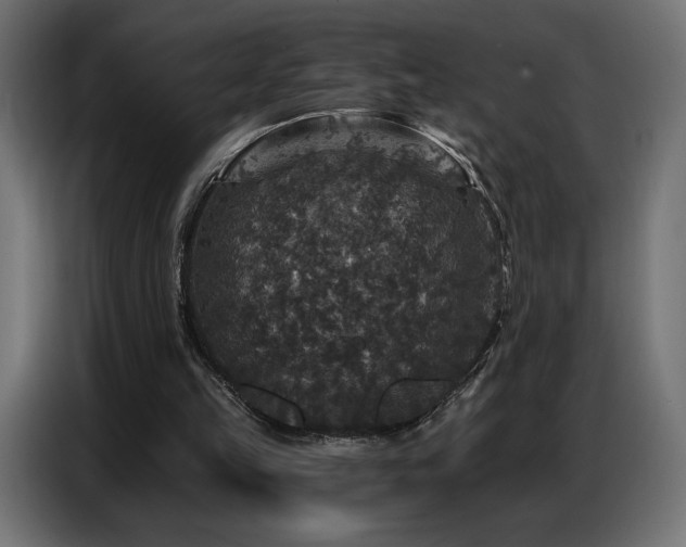 X0000086880149200704161230