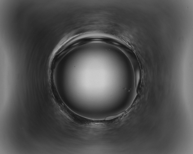 X0000086880150200704161230