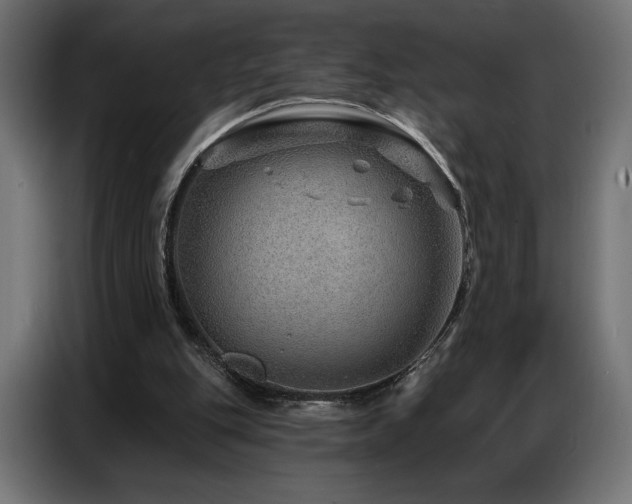 X0000086880151200704161230