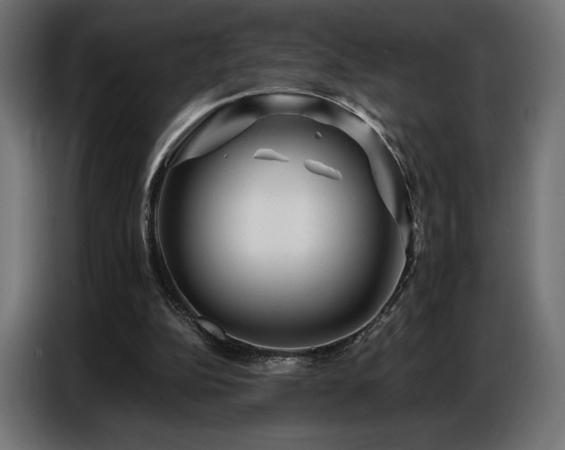 X0000086880152200704161230