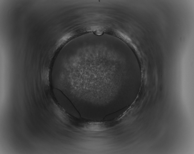 X0000086880154200704161230