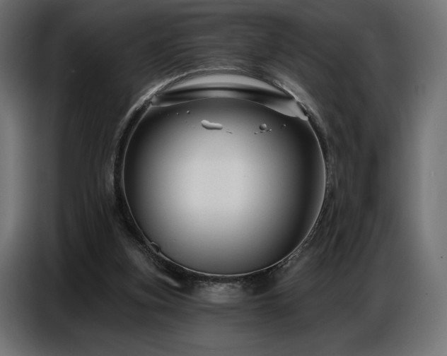 X0000086880155200704161230