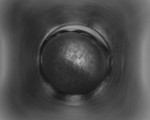 X0000086880156200704161230