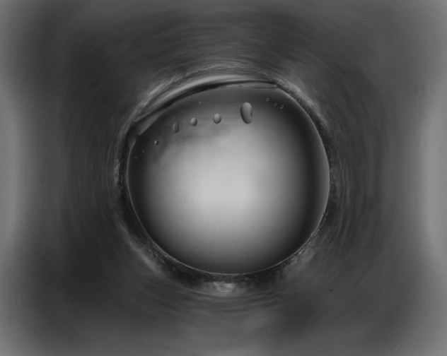 X0000086880159200704161230