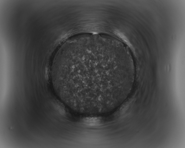 X0000086880161200704161230