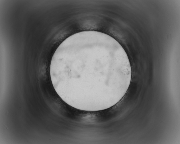 X0000086880162200704161230