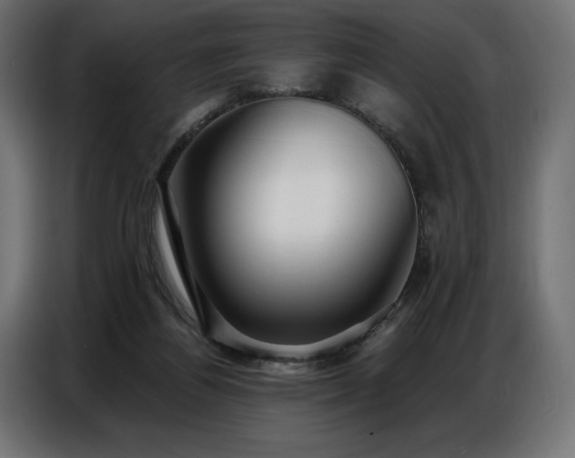 X0000086880164200704161230