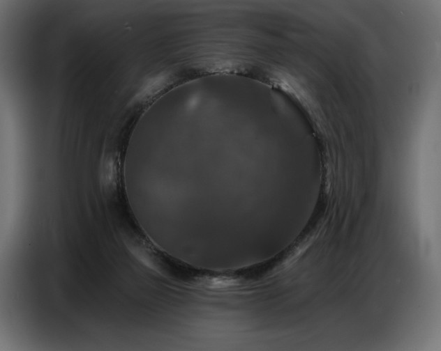 X0000086880165200704161230