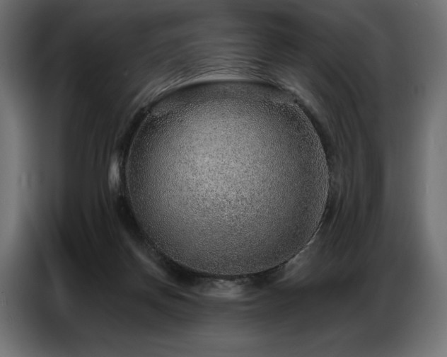 X0000086880166200704161230