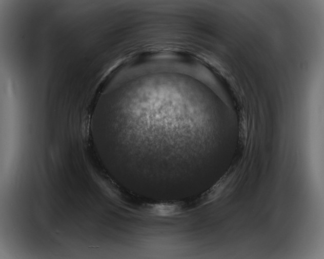 X0000086880168200704161230