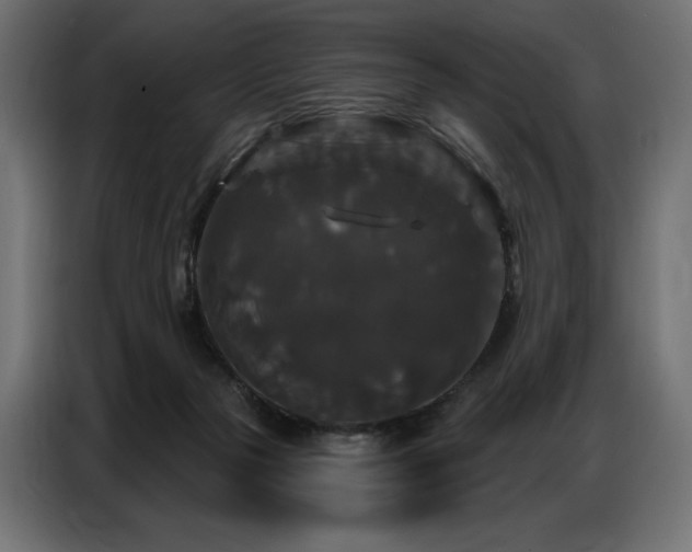 X0000086880169200704161230