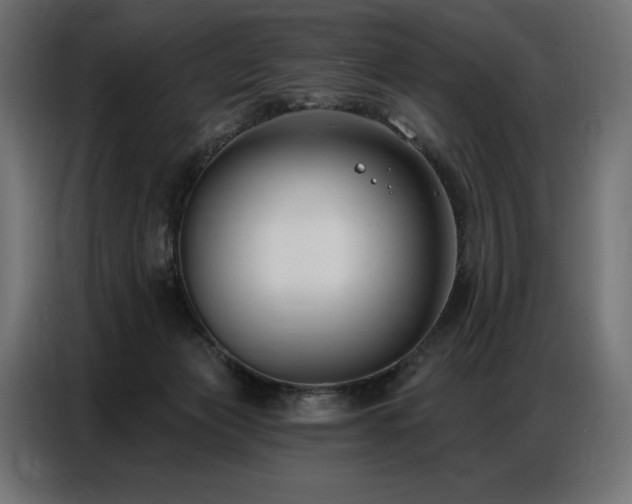 X0000086880173200704161230