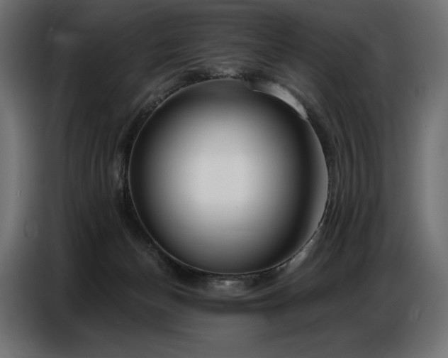 X0000086880174200704161230