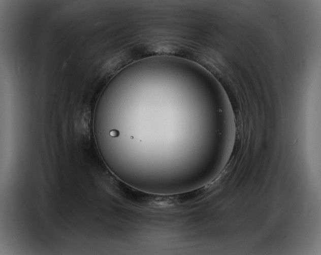 X0000086880175200704161230