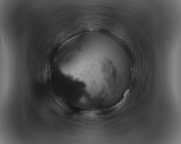 X0000086880182200704161230