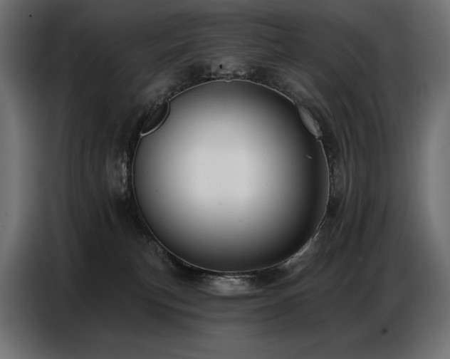 X0000086880183200704161230