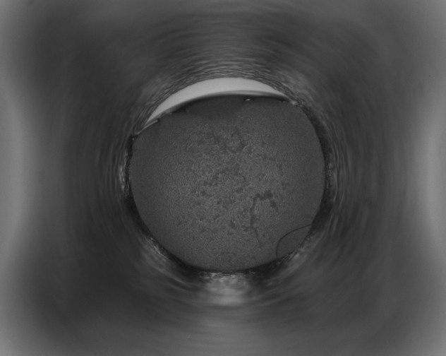 X0000086880185200704161230