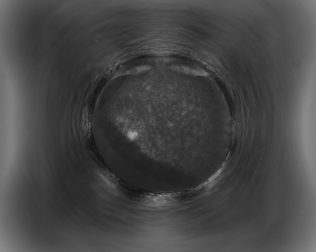 X0000086880186200704161230