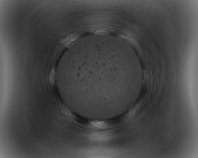 X0000086880189200704161230