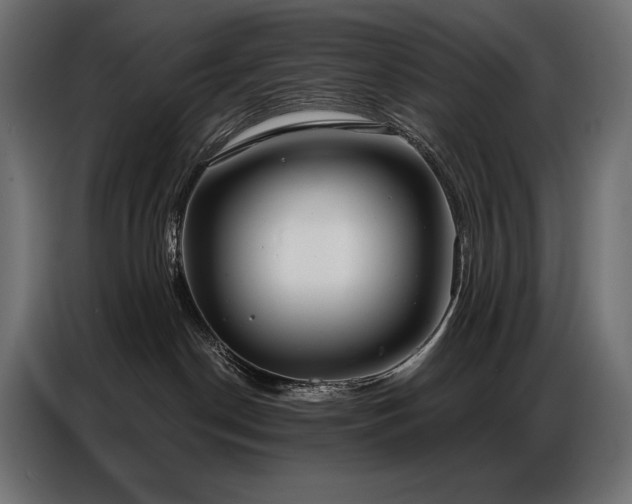 X0000086880190200704161230