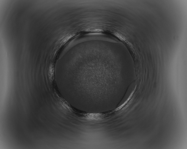 X0000086880192200704161230