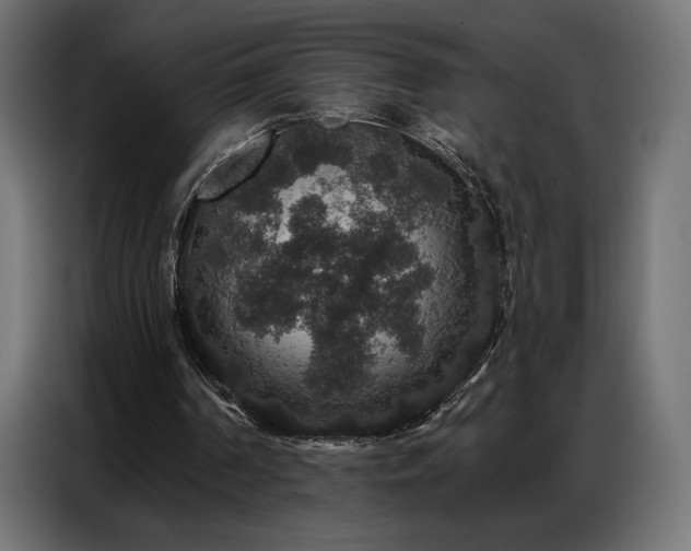 X0000086880194200704161230