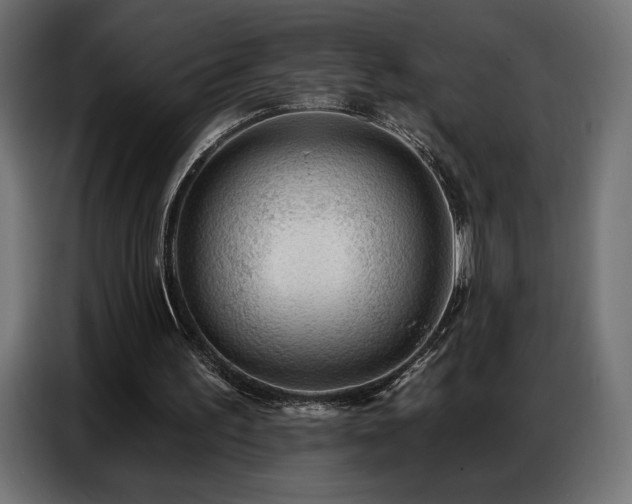 X0000086880195200704161229