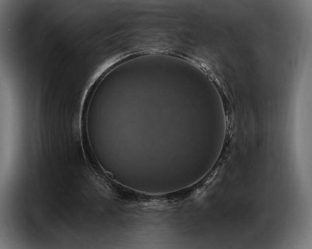 X0000086880196200704161229