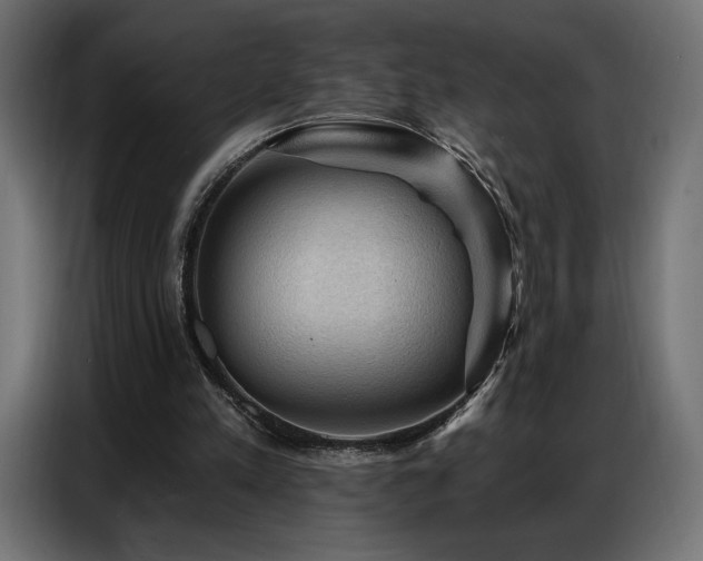 X0000086880197200704161229