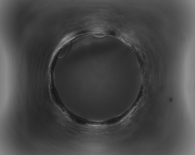 X0000086880198200704161229