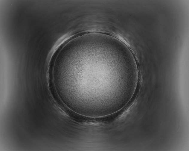 X0000086880199200704161229