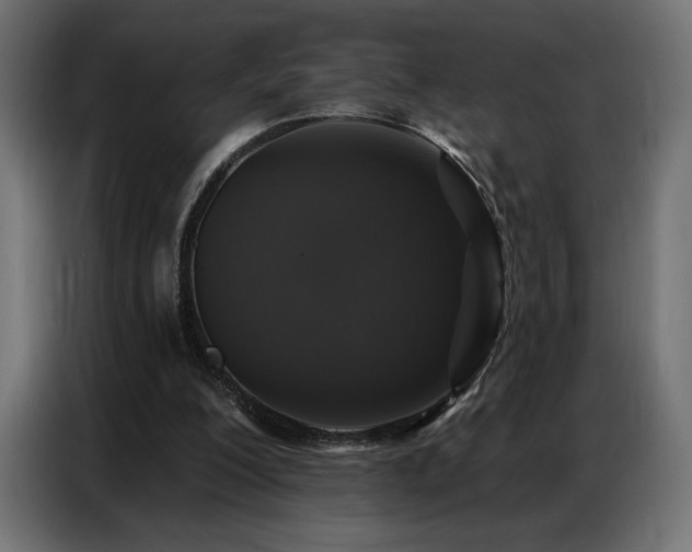 X0000086880200200704161229