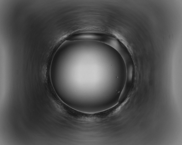 X0000086880201200704161229