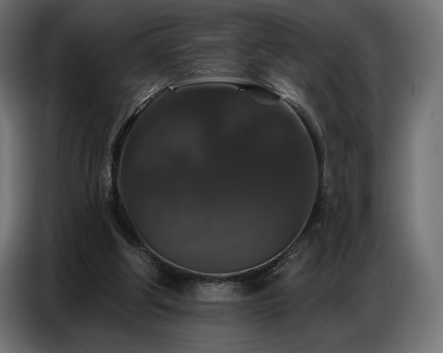 X0000086880202200704161229