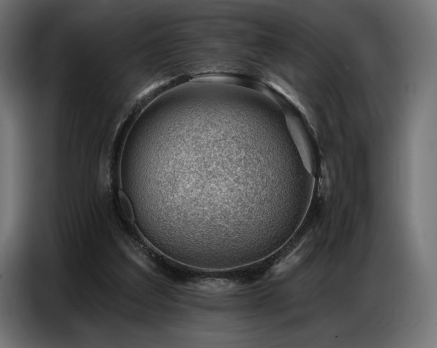 X0000086880203200704161229