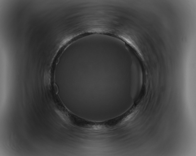 X0000086880204200704161229