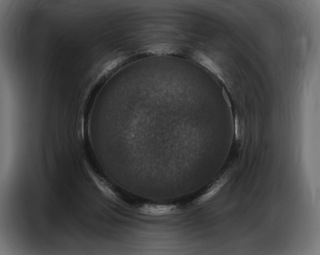 X0000086880205200704161229