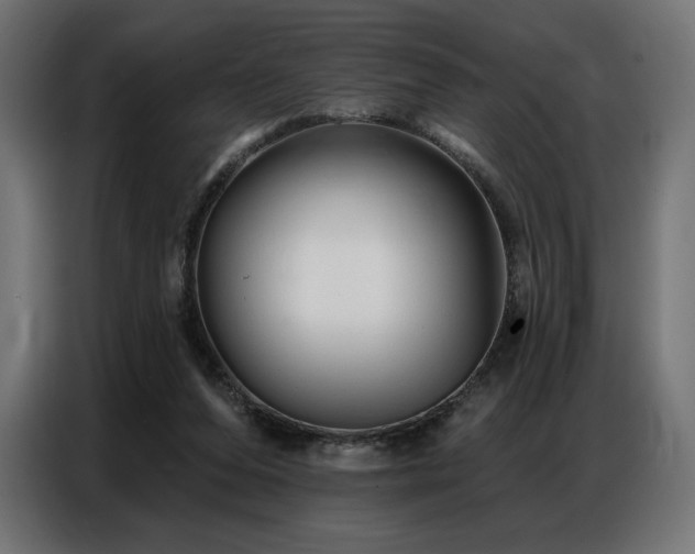 X0000086880208200704161229