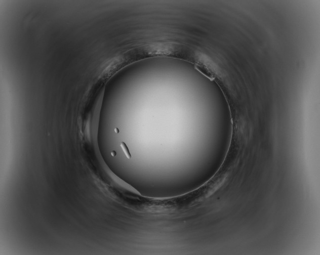 X0000086880209200704161229