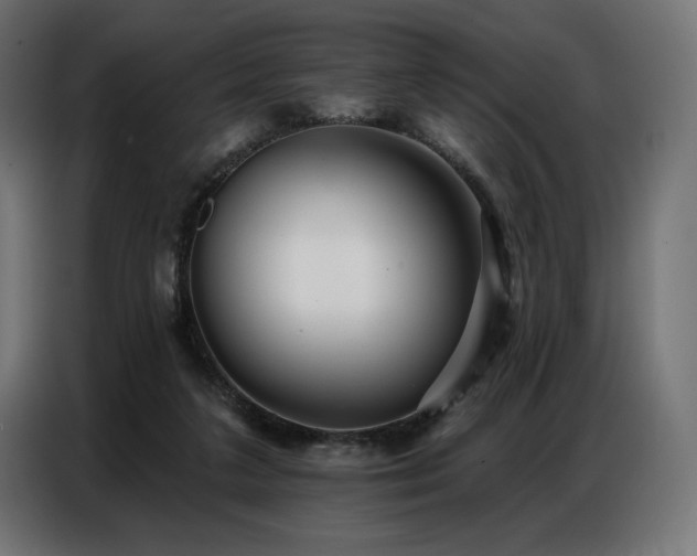 X0000086880211200704161229