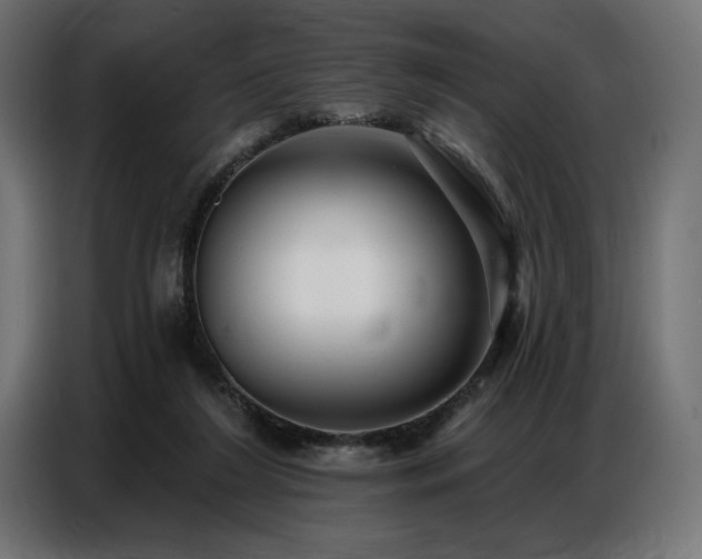 X0000086880212200704161229