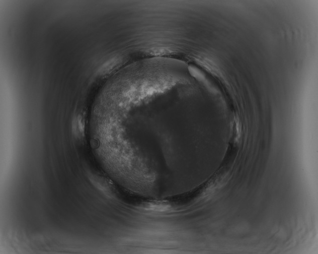 X0000086880214200704161229