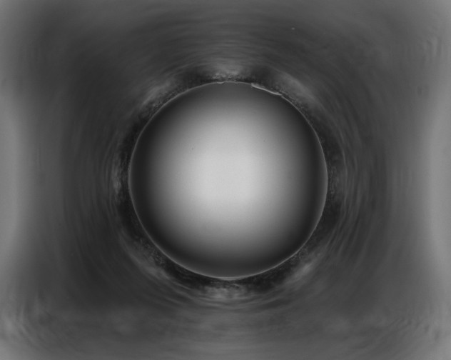 X0000086880215200704161229