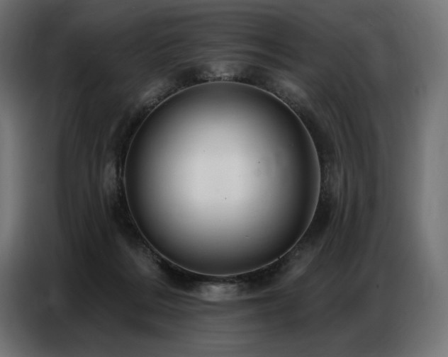 X0000086880220200704161229