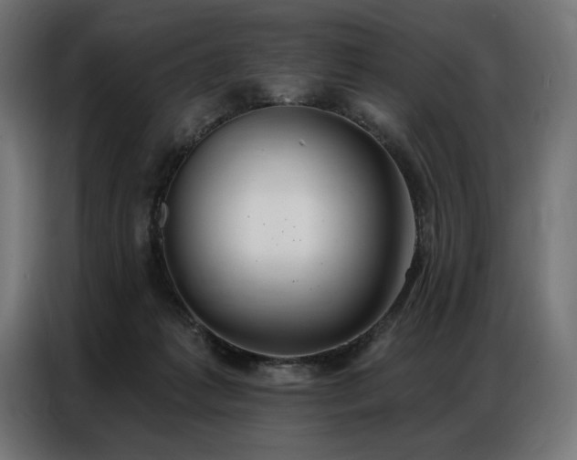 X0000086880221200704161229