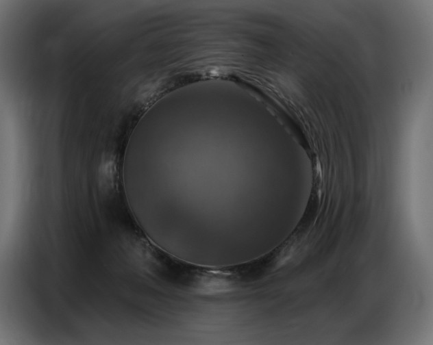 X0000086880222200704161229