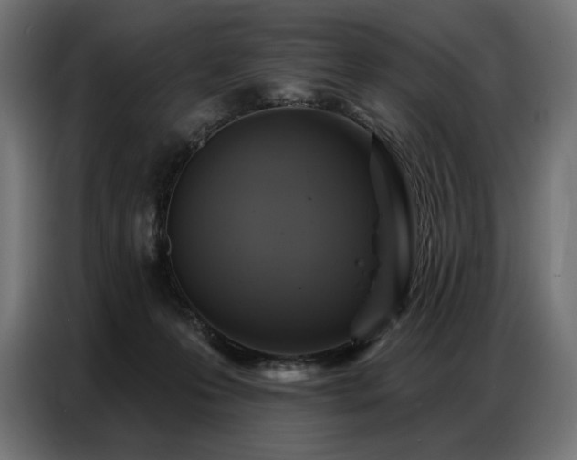 X0000086880223200704161229